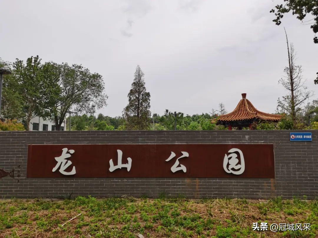 临清龙山公园最新进展,游临清公园