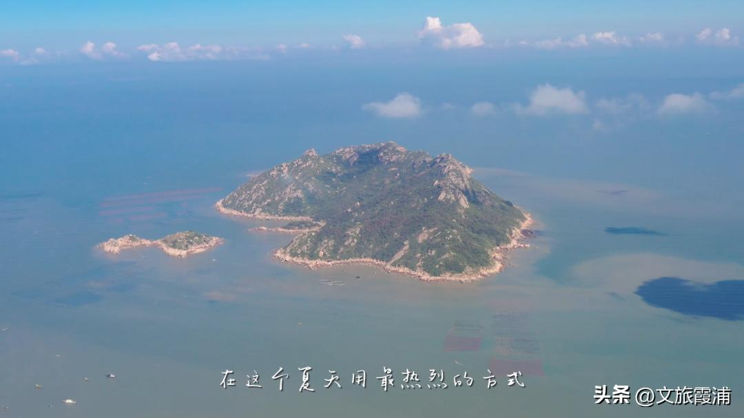 东海1号海钓,东海1号