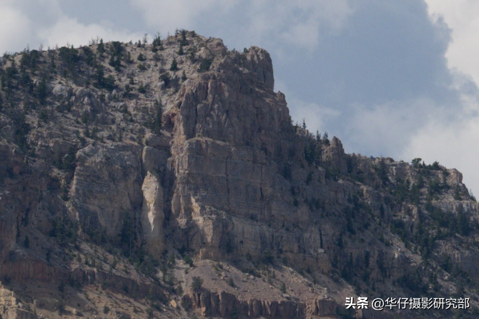 尼康z9视频高品质和普通品质区别,尼康z9再传新消息8月或开启实测