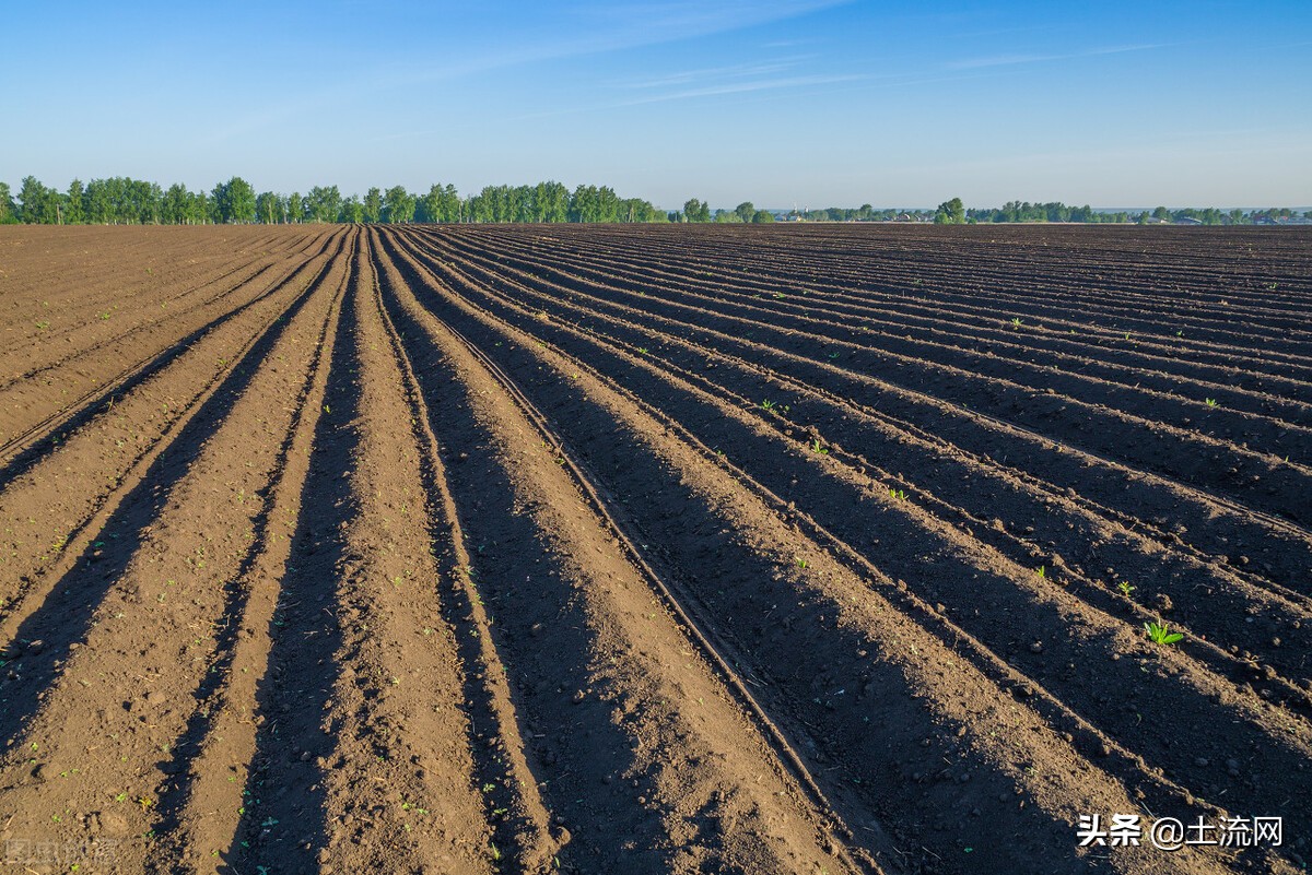 土地流转协议无效的情形,土地流转合同怎么改变土地性质