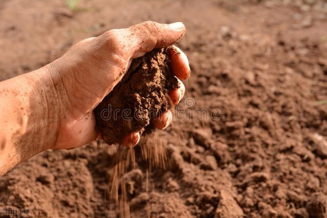吃土上瘾是什么原因,儿童吃土的危害