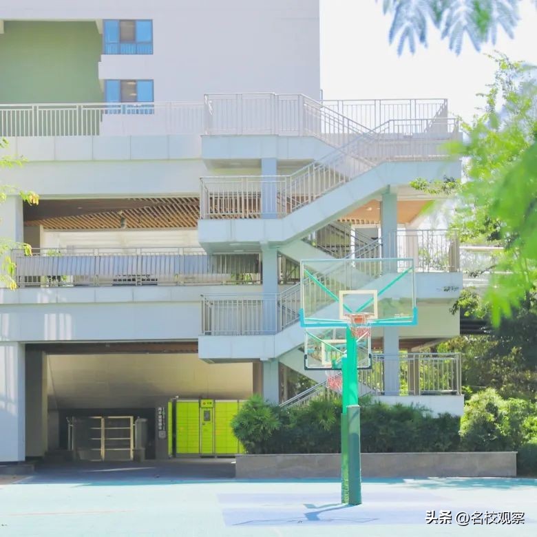 鎹锋姤棰戜紶纭曟灉绱疮,浼樼瀛﹀瓙鎹锋姤棰戜紶