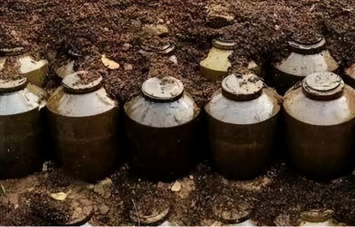 地洞藏酒和竹筒酒,洞藏老酒有真的吗