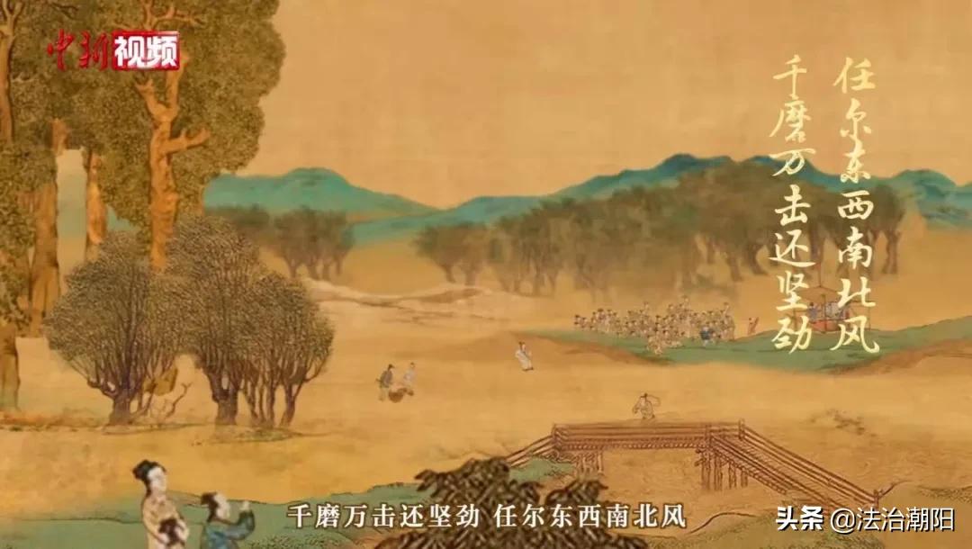 新年喝茶发朋友圈的句子,新年祝福语发朋友圈句子