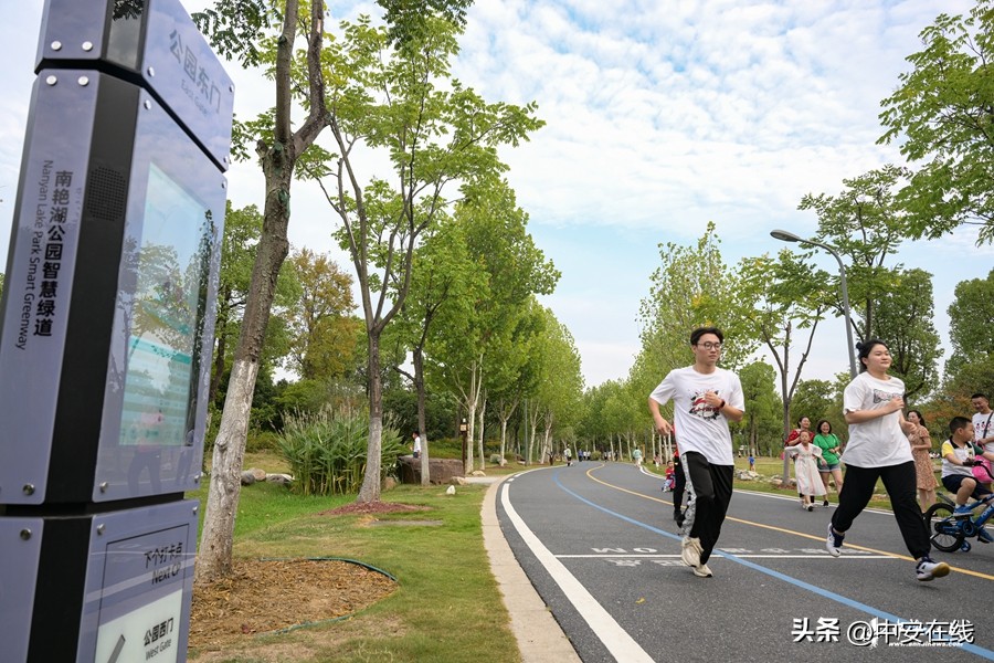 合肥最新打卡公园,合肥免费运动公园