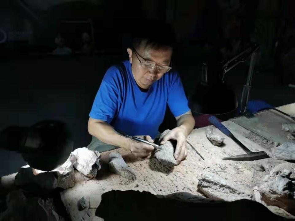 「共舞长江经济带」恐龙的五大千古之谜中，有几个人不应该被忘却