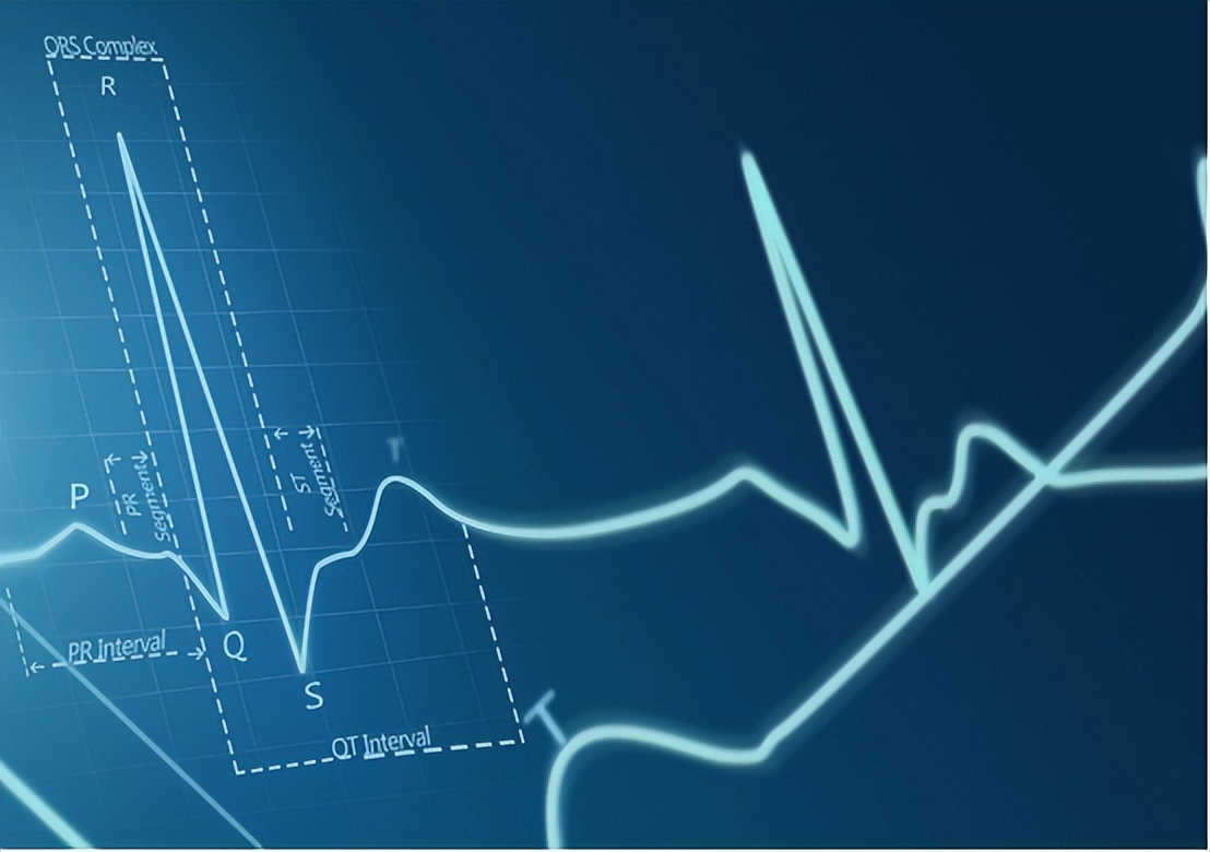 心跳快慢对寿命有影响吗,心跳快慢和寿命对照表