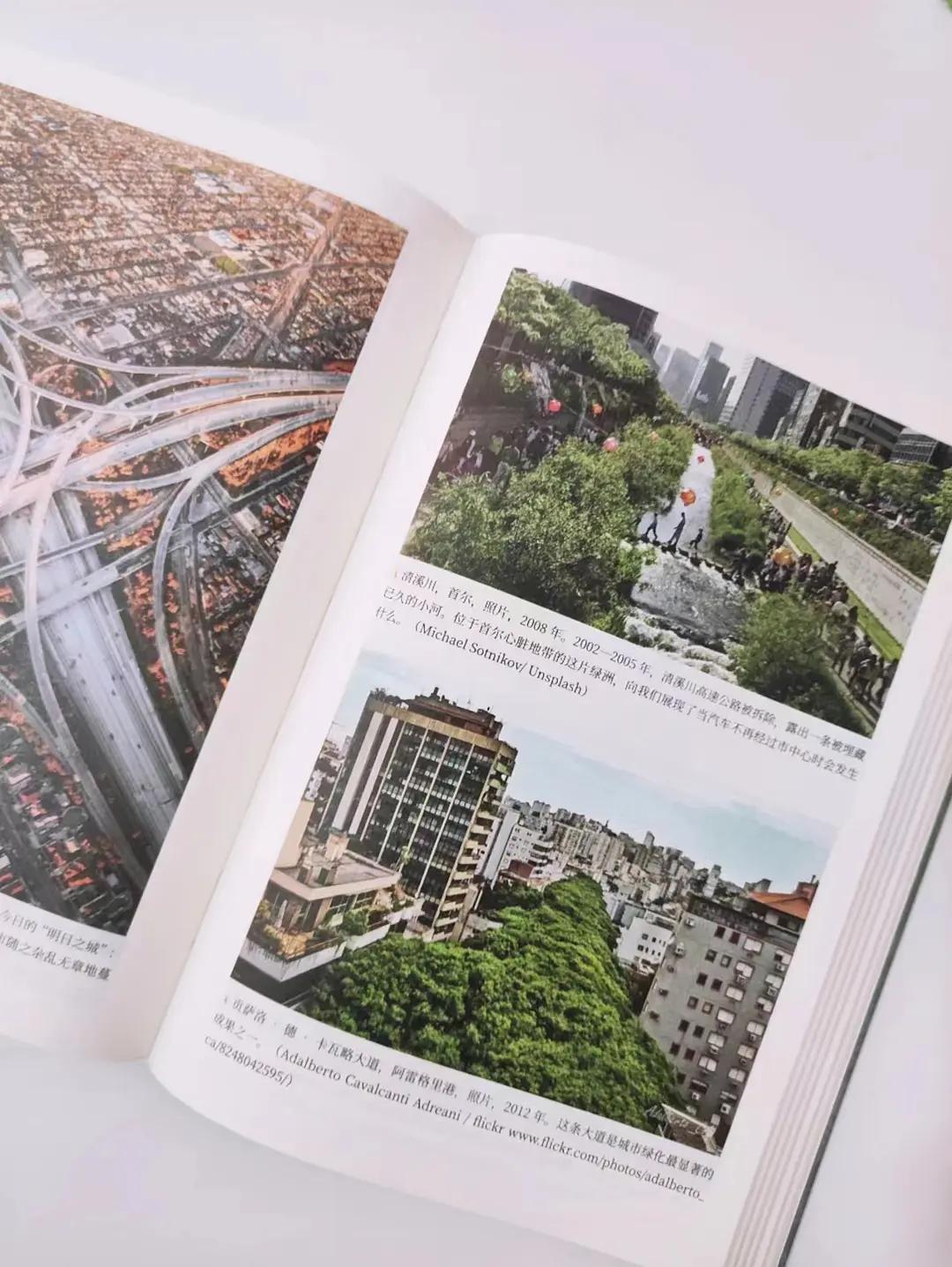 全世界城市人口密度,全球城市人口比例