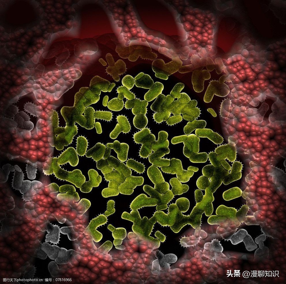 奶牛乳房炎发病原因,奶牛乳房炎的原因及预防措施