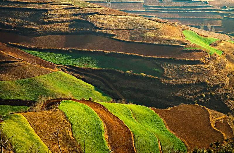 再穷不耕丈人田再穷不打亲戚工,为什么有穷死不耕丈人田的说法