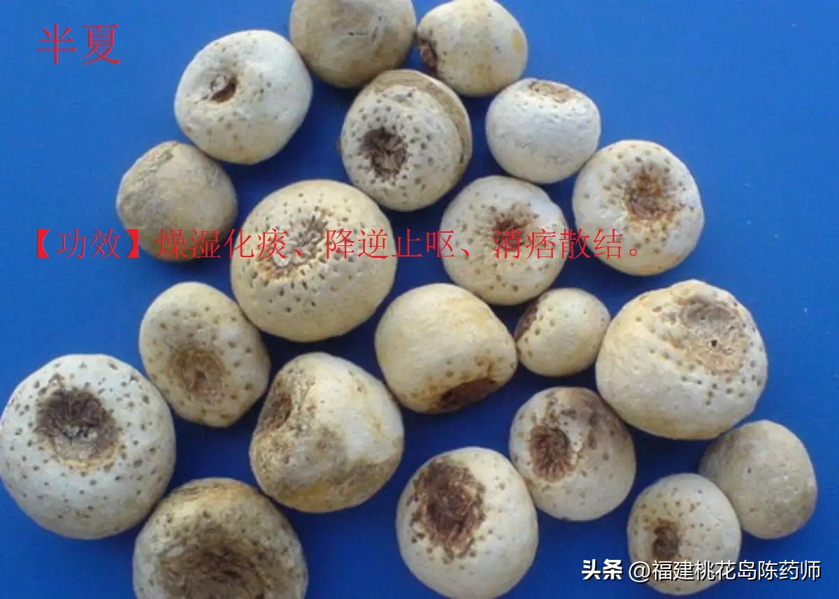 有毒的中药植物类药材,有毒的中药材