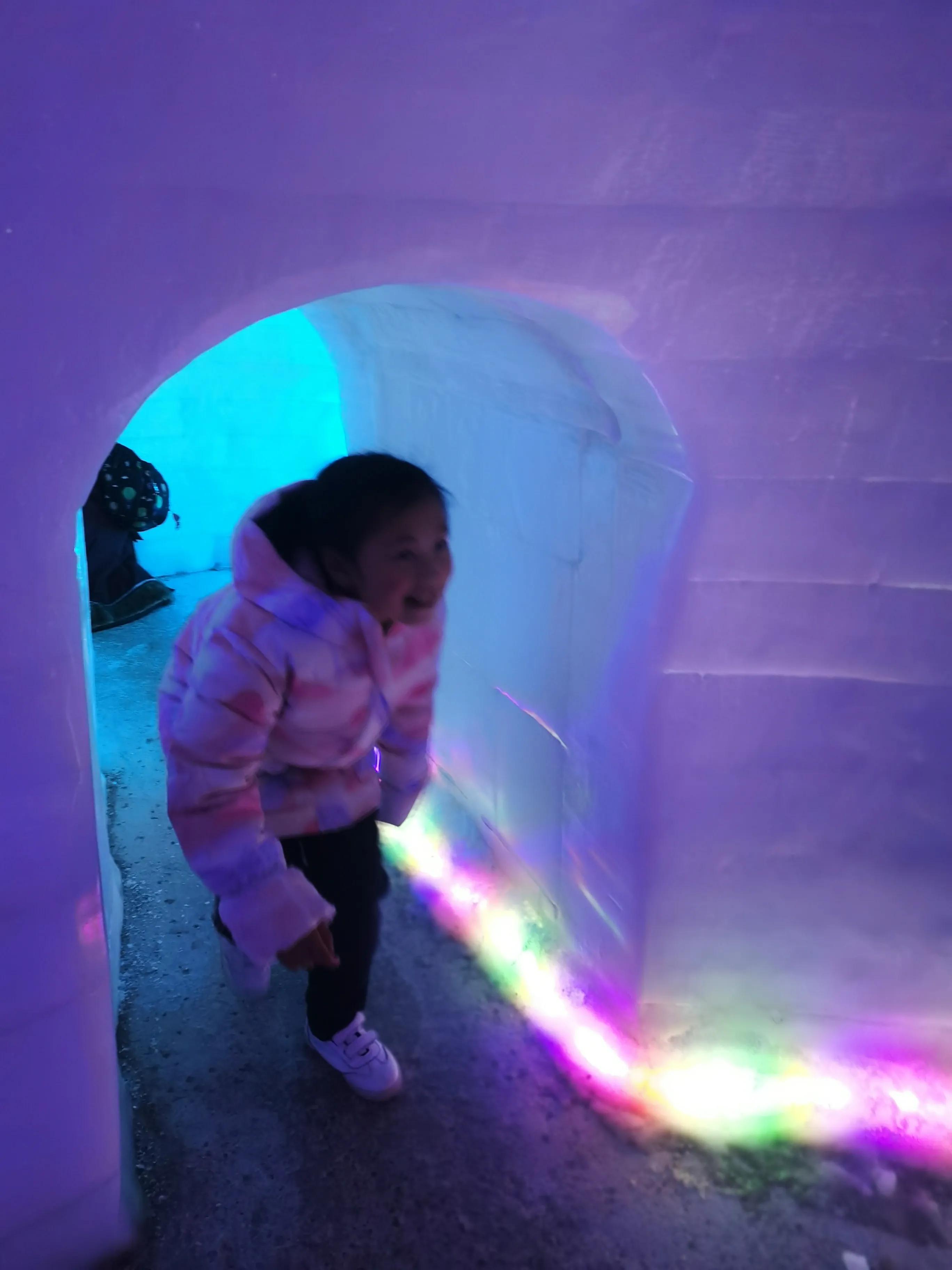 重庆乐和乐都野生动物园一日游,重庆野生动物园攻略一日游