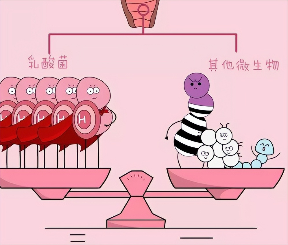 透明质酸凝胶能擦外阴瘙痒吗,外阴瘙痒有异味可以用什么药擦