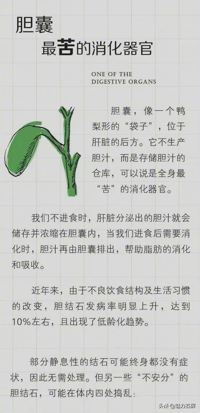 解析常见的预防胆结石方法,预防胆结石的方法
