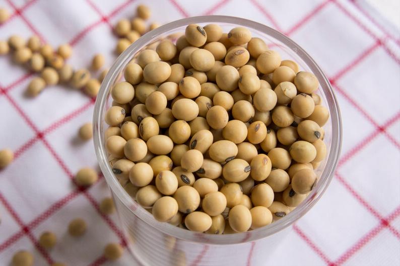 用豆浆机做豆浆需要泡好黄豆吗,浸泡过的黄豆打豆浆比例