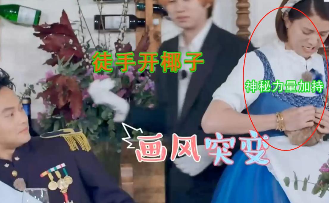 港姐袁咏仪包包,袁咏仪最贵的爱马仕包