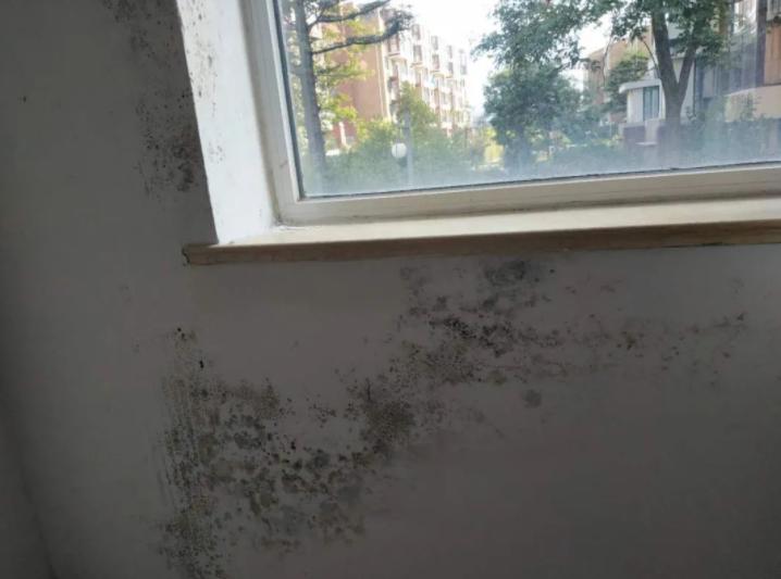 骗了国人的5大骗局,骗了国人十几年的五个骗局