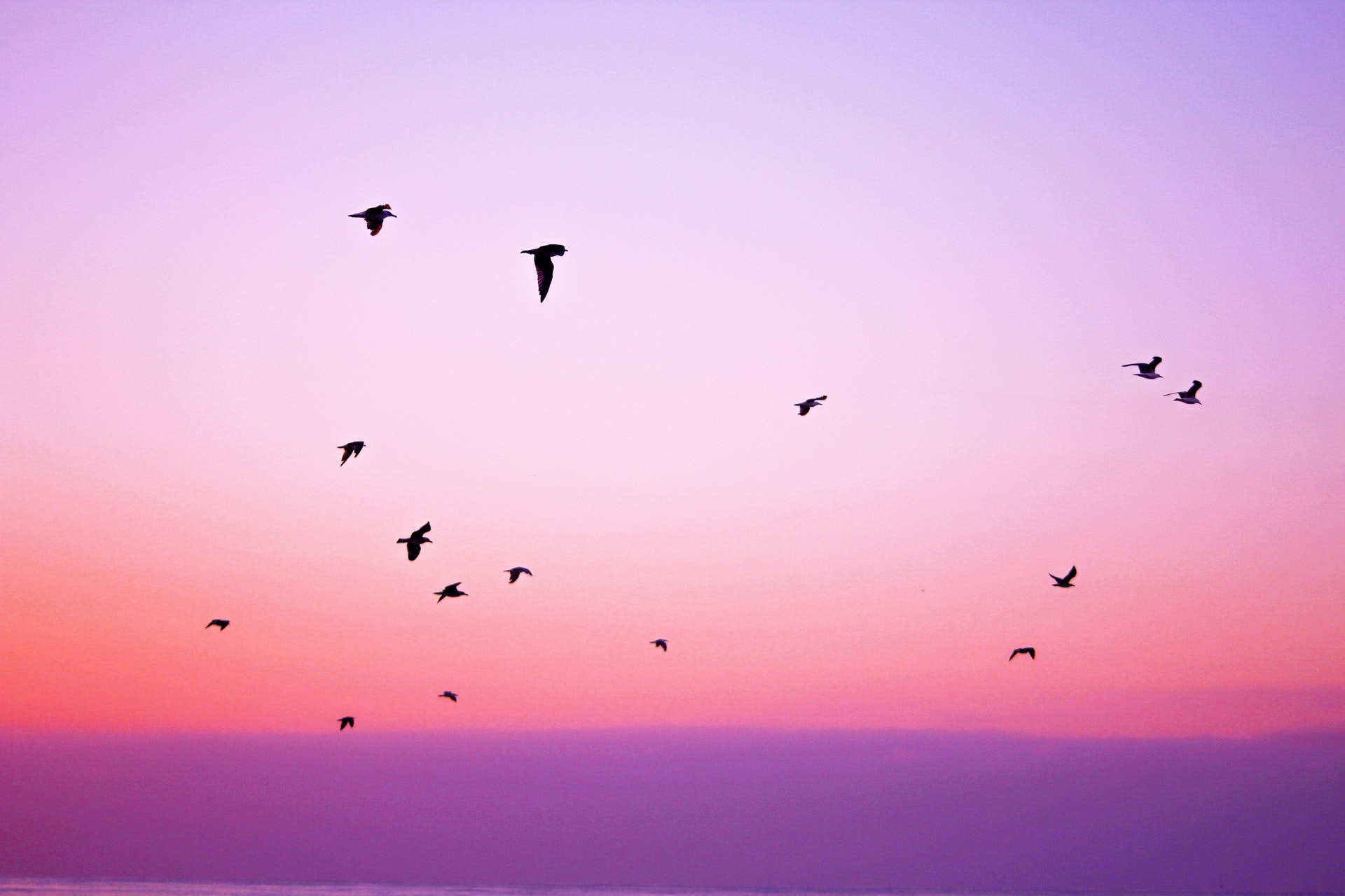 身上有三种痕迹的人,身上有四种记号的人