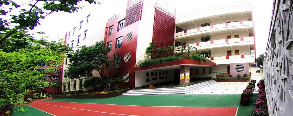 成都私立小学五朵金花,成都小学新五朵金花排名