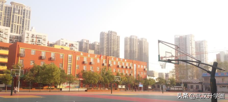 2020长虹中学一本率,长虹中学高中部是几批录取