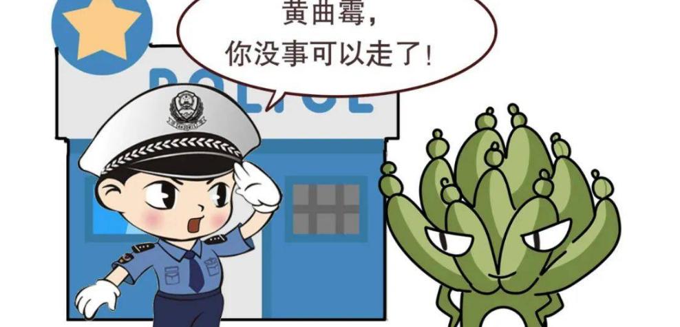 食物中毒怎么办三大妙招轻松解决,出现食物中毒怎么正确处理