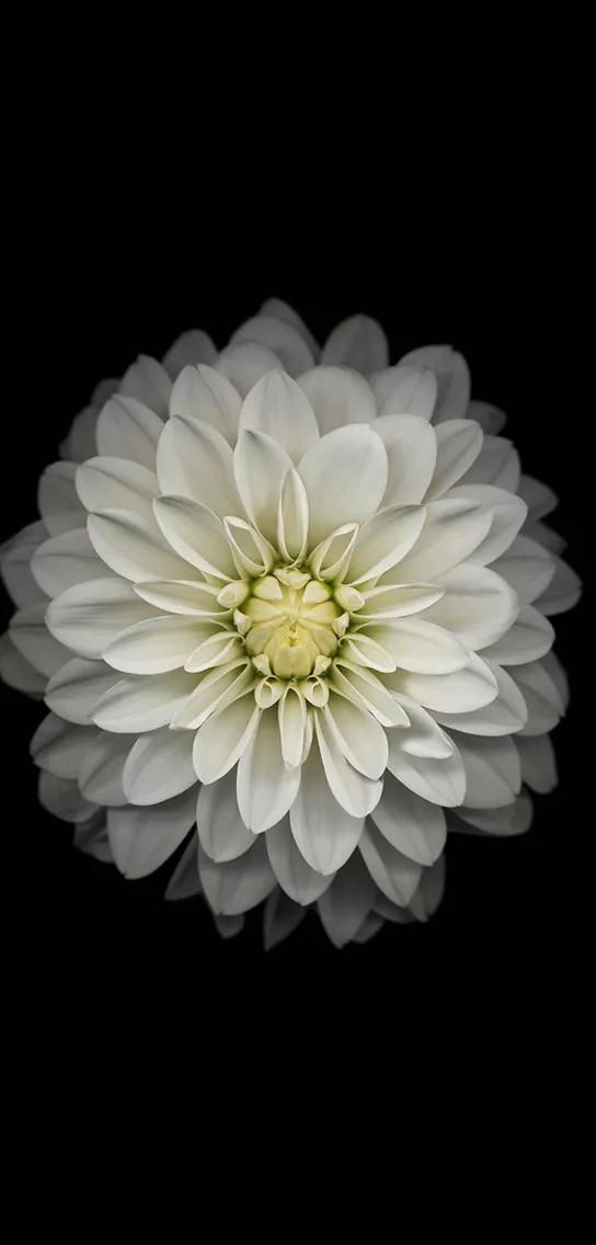 黑暗系的壁纸文字,黑暗色系的壁纸