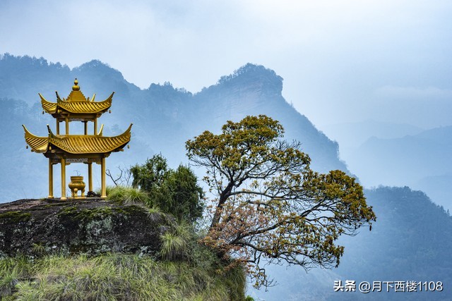 江淮大地，八皖之乡。新一届中央委员和候补委员中有多少安徽人？