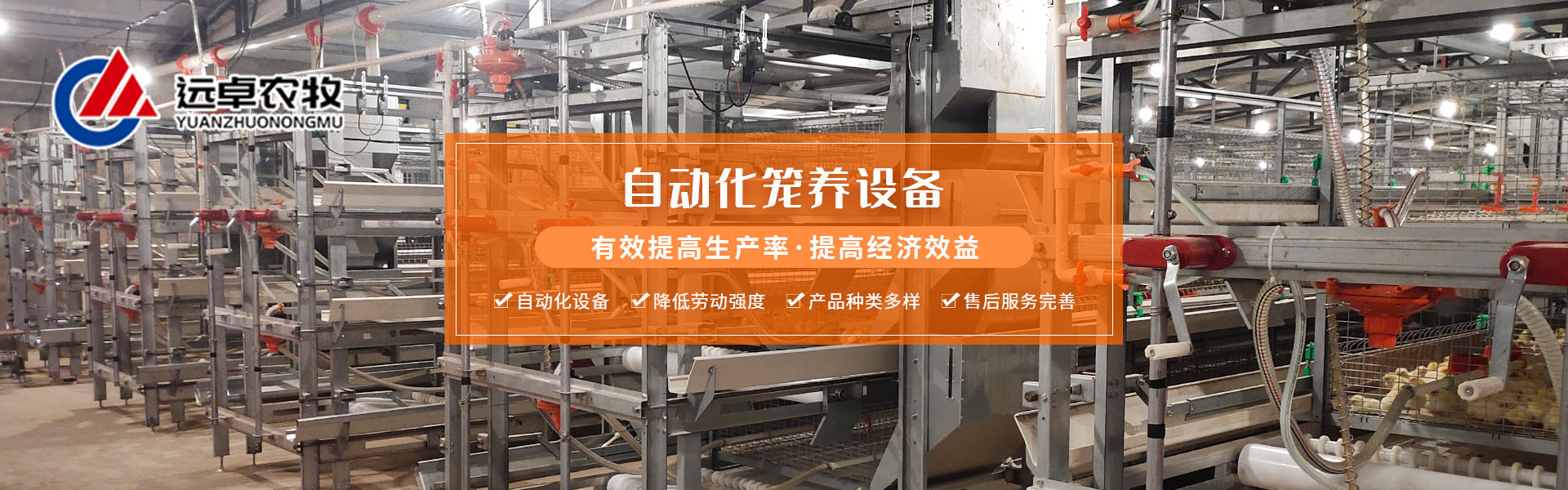 如何建高效养鸡场,养鸡场建设的基本布局