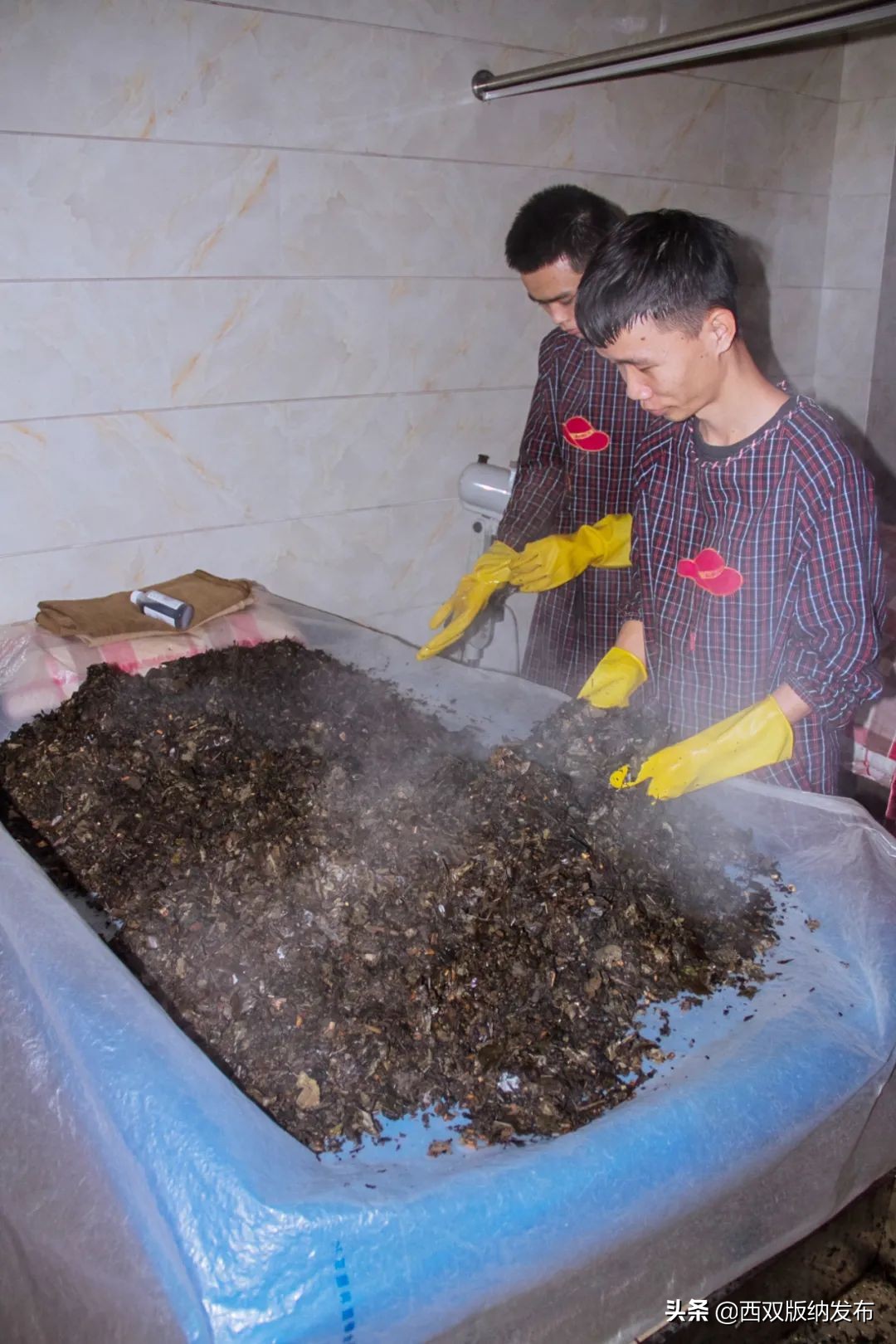 傣医特色用药法,傣医的十大疗法介绍