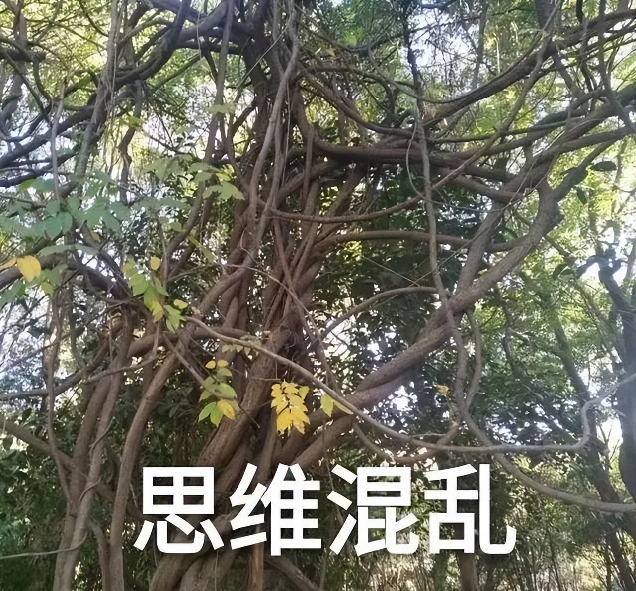 六种防诈骗常见手法,用真实案例带你识破诈骗手段