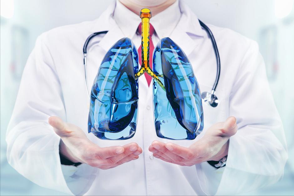 秋冬吃什么对肺部有益,这6种食物能养肺润肺