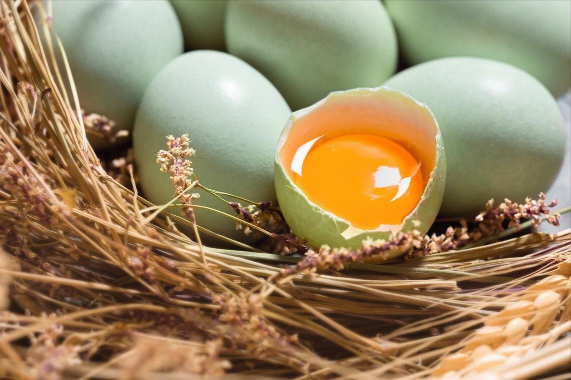 超市便宜的鸡蛋和贵的有什么区别,鸡蛋是买大点的好还是小点的好