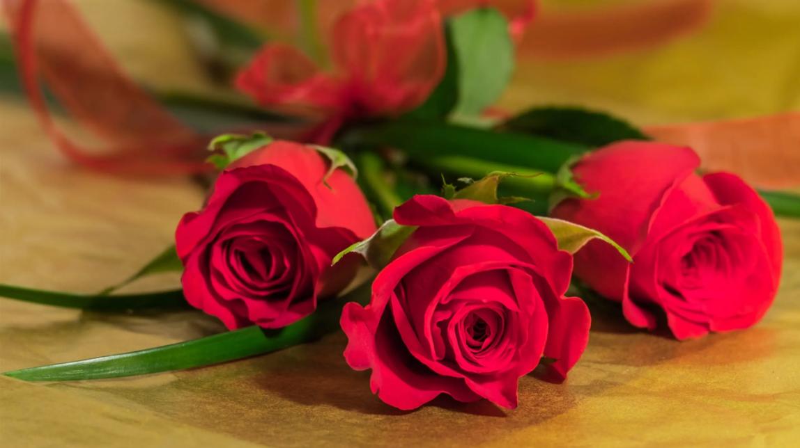 送玫瑰的含义和象征意义,送玫瑰给女孩代表什么意思