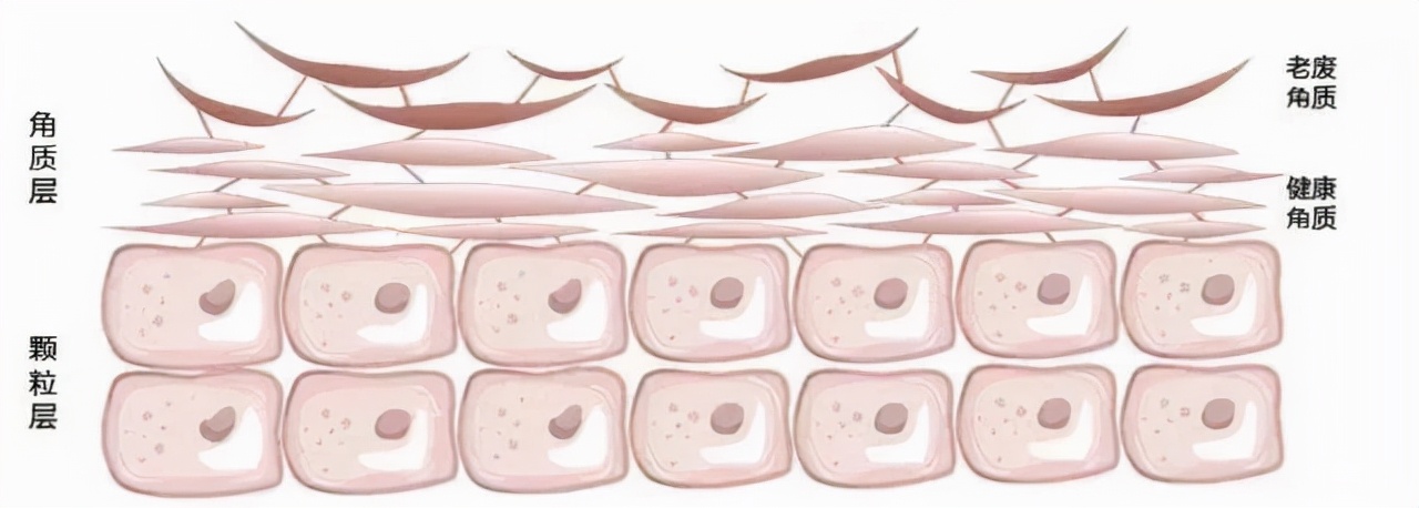 护肤的100个关键词,护肤创新名词