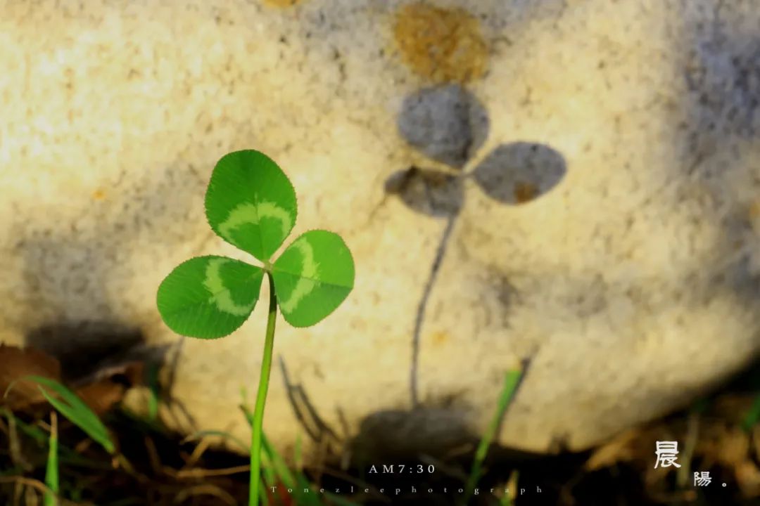 35句励志经典诗词愿你选为座右铭,正能量诗词短句经典