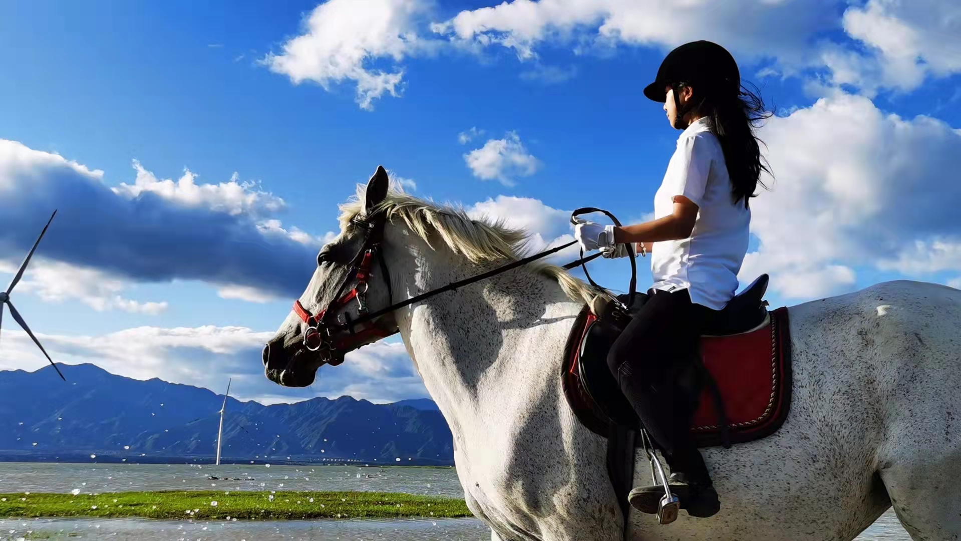 2023华杯赛夏令营,华誉外交官