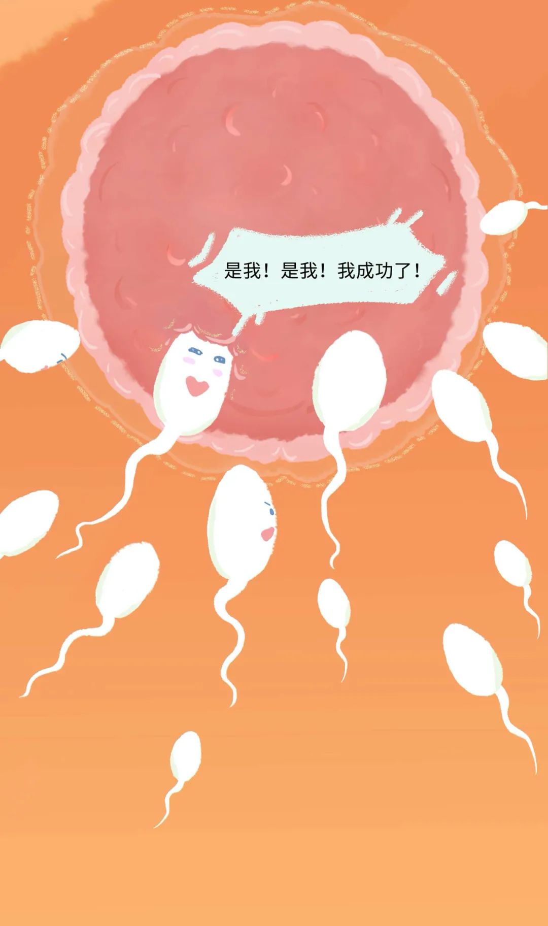 漫画：精子进入女生体内的全过程曝光！别害羞，早知早受益