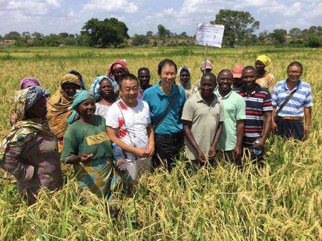 非洲哪几个国家“华人”最多？他们在那里做什么工作或者生意？