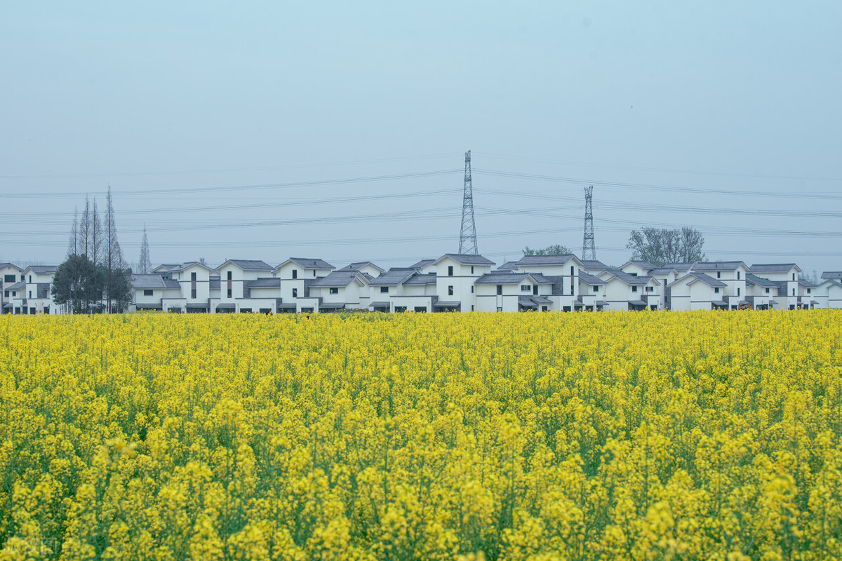 成都春天超美的地方,成都现在风景最美的地方