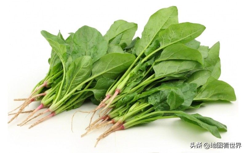 伊朗究竟是个什么国家,伊朗到底是什么样子的国家