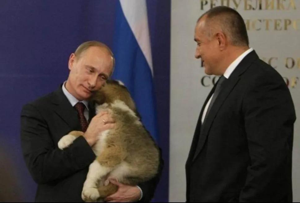 普京到底有多喜欢狗,普京为啥这么多人喜欢他