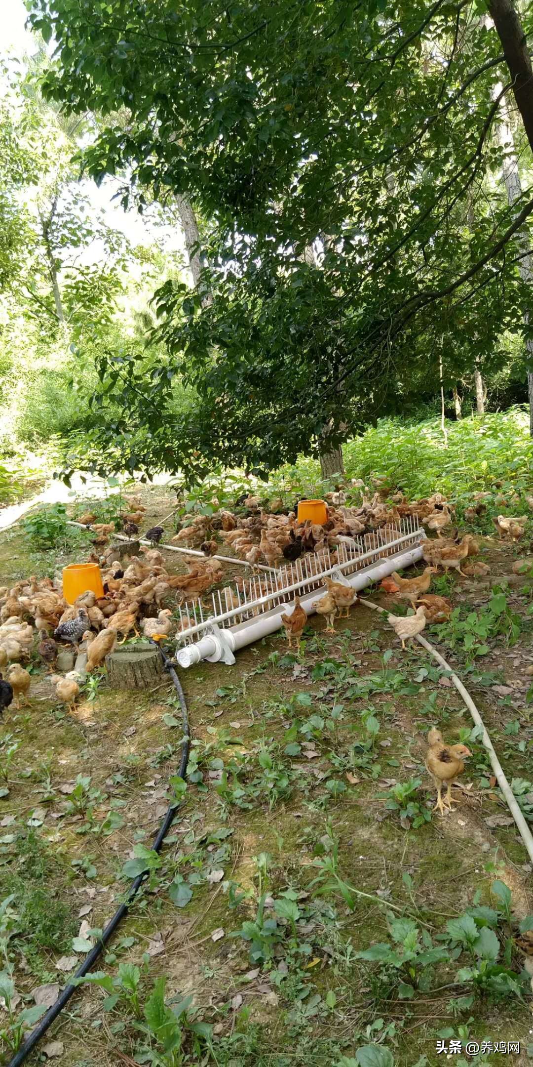 黄小爬:怎样销售养殖设备能够成功?