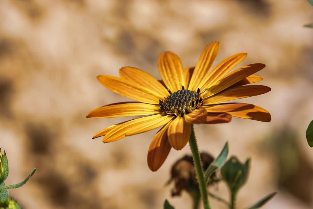 女朋友异性很多怎么办,女友对异性很好我吃醋该告诉她吗