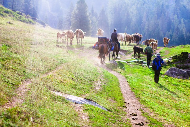 民族特色文化的发展趋势,56个民族里面文化最齐全的有哪些