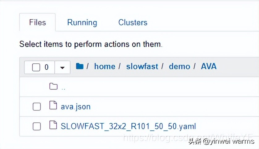 slowfast复现过程