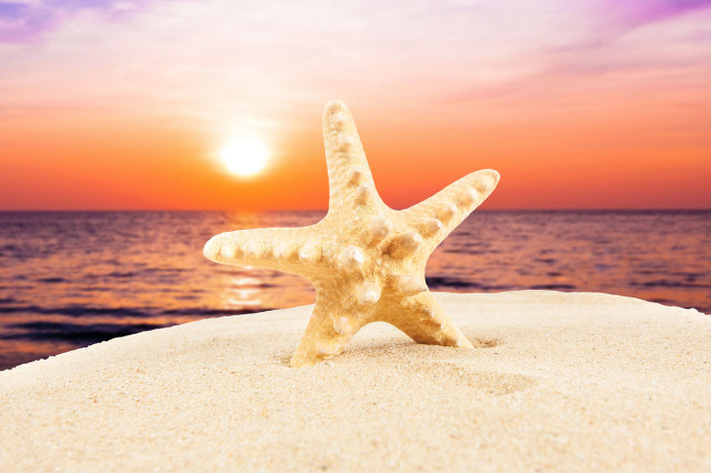 微信头像用自己的相片好不好,人品越差的人用什么微信头像