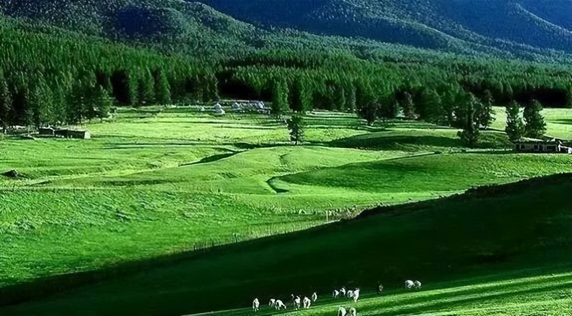 张北草原天路风景,张北草原天路路线