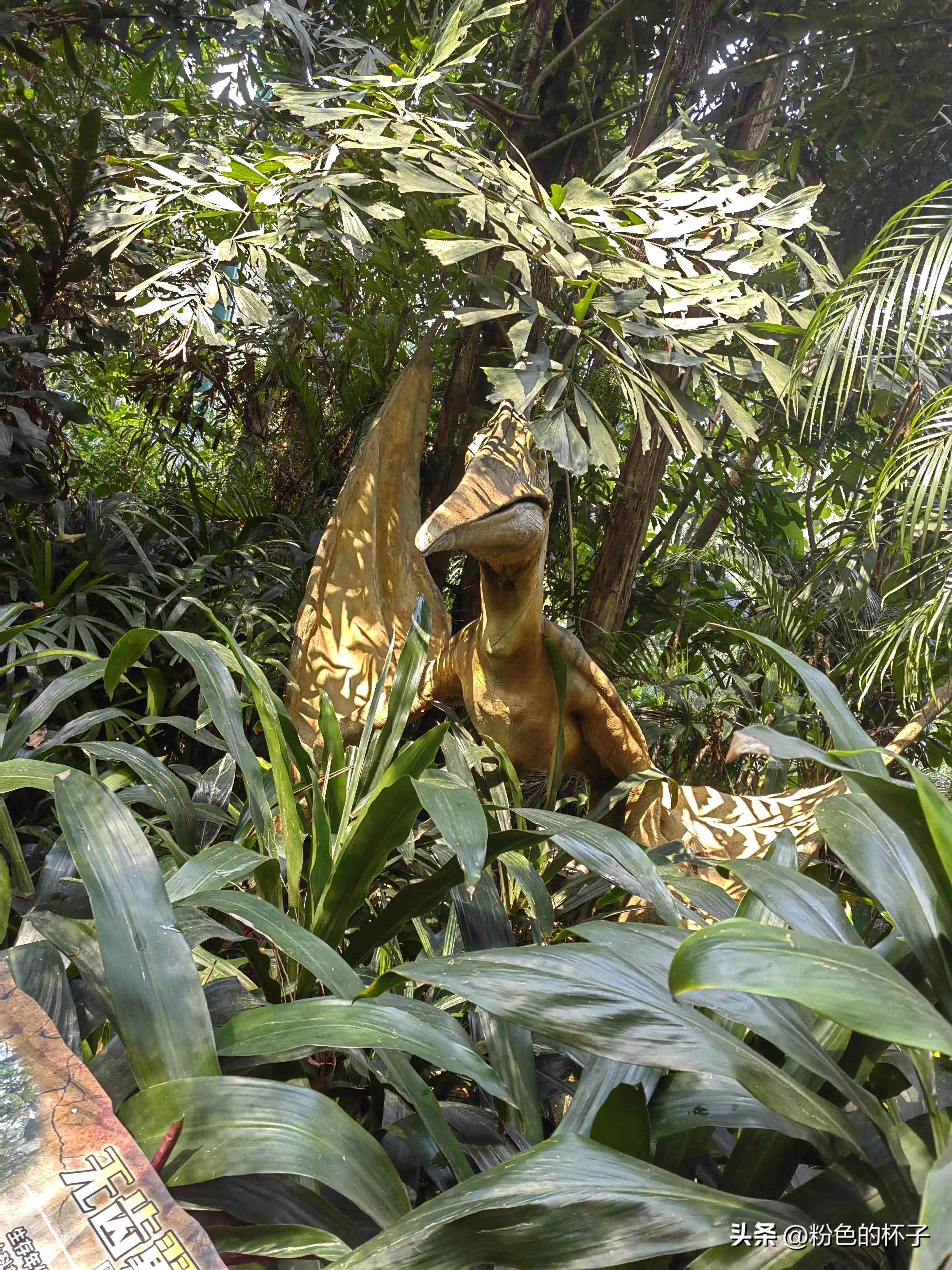 长隆野生动物园南门步行攻略,山东去广州长隆野生动物园攻略