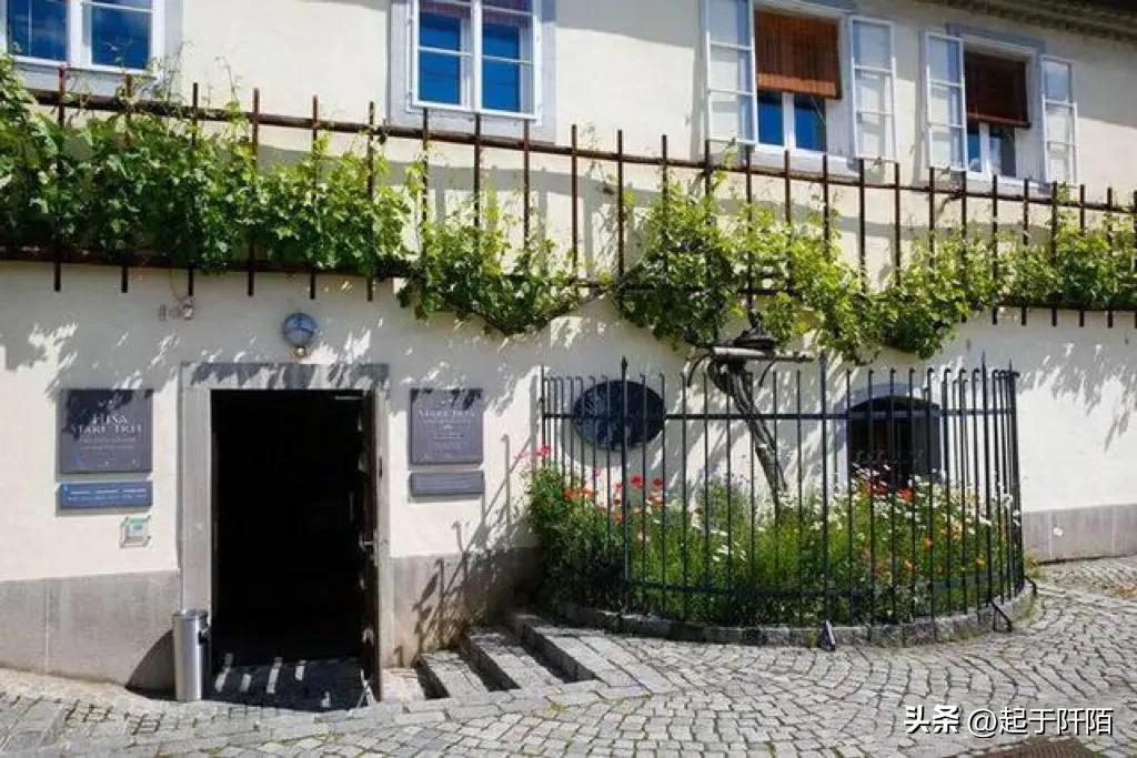 东欧唯一发达国家斯洛文尼亚,走进斯洛文尼亚