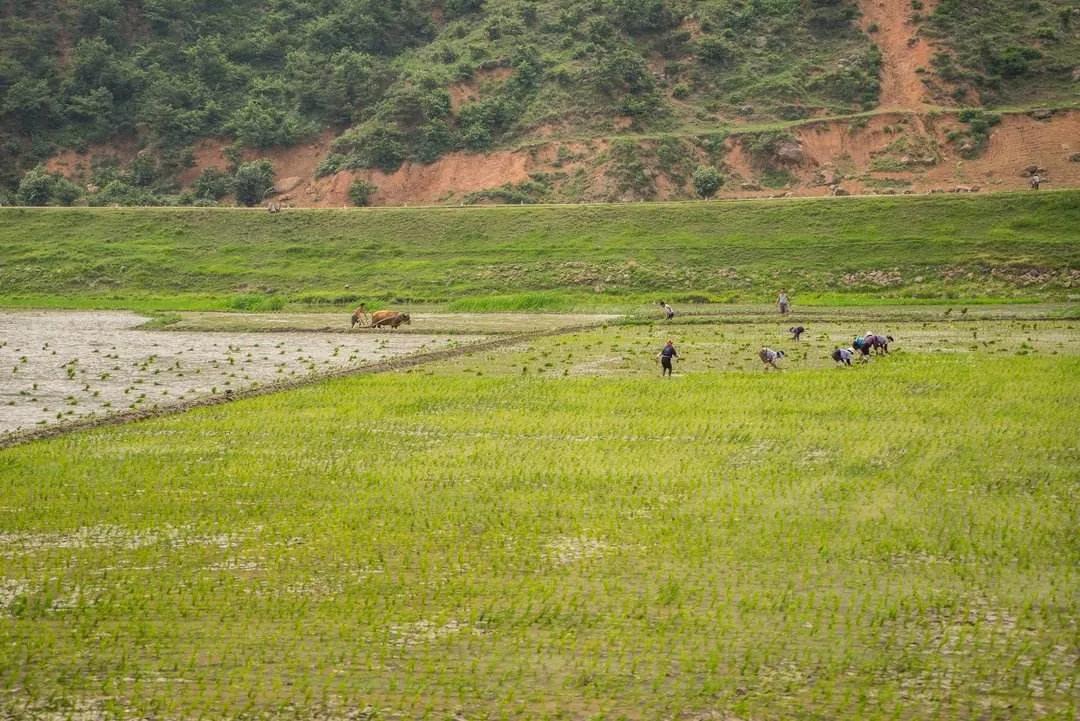 真正的朝鲜是什么样的,真正的朝鲜条件是怎么样的